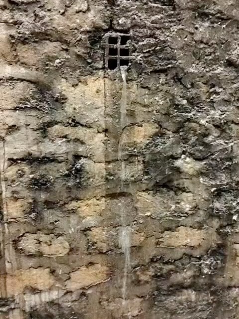 Buenas noches vecinos! Como muchos habéis visto, hay dos fugas en el túnel (ahora parece que solo una).
Aguas de Alicante y Ayuntamiento estan avisados. 
Precisamente ayer pasamos con el nuevo concejal de limpieza y jardines y su técnico, por el túnel dentro del tour por el barrio y lo vieron. 
En teoría ya está localizada la avería y viene una brigada de aguas de alicante en camino para repararla.
Esperamos que se resuelva mañana como tarde. 

La avería de agua, al parecer, ha sido provocada por la raíz del pino colindante con el edificio. Al remover la tierra y relleno de la parte superior el agua ha aflorado y cambiado su curso. 
Esto explicaría por qué los suelos de los garajes colindantes con la tubería se han hundido que es el motivo de las obras que se están realizando. Ayer 4 operarios de aguas de alicante trabajaron en la tubería de alimentación.

Pronto os compartiremos el resultado de la visita completa con el concejal y los compromisos a los que llegamos. 

Muchas gracias a los que nos habéis enviado el aviso y videos 📷

Si tienes algún tema vecinal que quieras que tratemos, no dudes en avisarnos y trataremos de orientarte. 

Buenas noches barrio! 
-—
@alicanteayto @12tv_alicante 💙🤍
@ppalicanteciudad @psoe_ayuntamiento_alicante @compromisalacant 
@vox.alicante.capital @eualacant